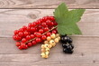 Red, black and white currant on wooden background.