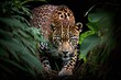 A jaguar prowling through the undergrowth, its powerful muscles rippling with each step. Generative AI