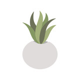 Fototapeta Tulipany - Cactus, Desert spingy plant, green plant in pot, pastel cute plant, vector