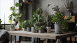 Wooden shelf with different plants on top, home jungle