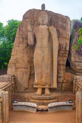 Sticker - Aukana buddha statue in Sri Lanka