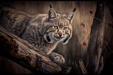 Bobcat Crouching On Tree Branch, Surveying Its Territory, Created With Generative Ai