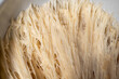 © Inga - Close up sourdough bread dough starter texture, baking homemade bread.