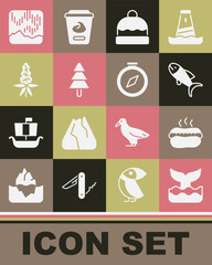 Poster - Set Whale tail, Hotdog sandwich, Fish, Beanie hat, Tree, Lupine flower, Northern lights and Compass icon. Vector