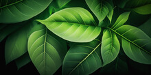 Close Up Of Green Leafy Plant With Leaves. Generative Ai.