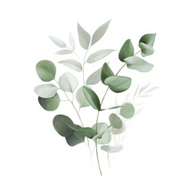Watercolor Bouquet Of Leaves And Eucalyptus Branch. Botanical Herbal Illustration For Wedding Or Greeting Card. Hand Painted Spring Composition Isolated On Transparent Background. Realistic Eucalyptus
