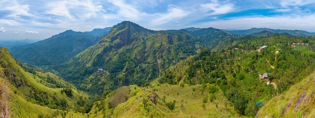 Canvas Print - Tea plantation surrounding Little Adam's peak at Ella, Sri Lanka