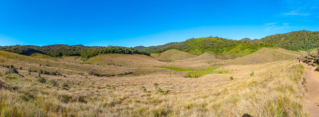 Wall Mural - Natural landscape of Horton Plains national park at Sri Lanka