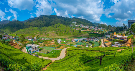 Poster - Tea plantations around Nuwara Eliya in Sri Lanka