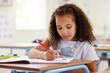 © Nina/peopleimages.com - Learning, drawing and girl in classroom for education, exam or studying with book. Preschool, creativity development and serious kid or student coloring for art in notebook in kindergarten or academy