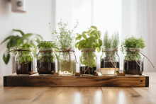 Various Herbs Are Grown In Reusable Glass Jars. AI Generated.
