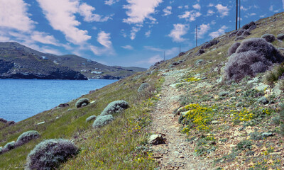 Wall Mural - Hiking trail by the sea, Pathway, landscape in springtime and blue sea water.