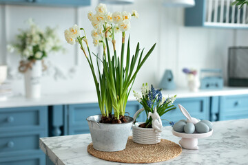 Daffodils in pot and spring flowers in vase. Home interior with easter decor. Bouquet of flowers in vase and ceramic plates, plants in pots, utensil on table in kitchen. Template	