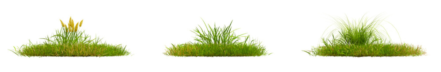 Aufkleber - collection green grass PNG transparent , 3d illustration rendering