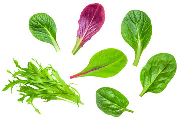 Wall Mural - Salad leaves mix with rucola, red lettuce, spinach and chard, leaf isolated on white background. Top view, flat lay. Pattern.