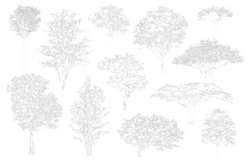 minimal style cad tree line, side view, set of graphics trees elements outline symbol for architectu