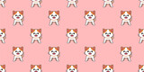 Fototapeta Dziecięca - Vector cartoon character exotic shorthair cat seamless pattern background for design.