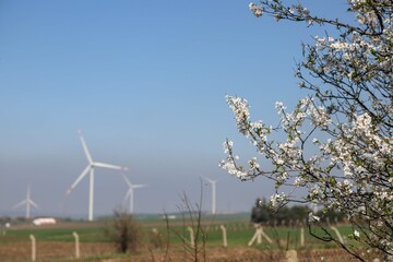 Wind turbine and windmill. Clean energy in green nature in different locations. Sustainability and environment concept
