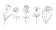 Set of Monoline-Flowers