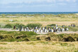 Colony of king penguins at Tierra el Fuego in Chile