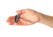 © Pixel-Shot - Female hand holding corkscrew isolated on white background