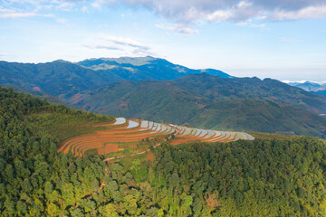 Aerial top view of fresh paddy rice terraces, green agricultural fields in countryside or rural area of Mu Cang Chai, mountain hills valley in Asia, Vietnam. Nature landscape background.