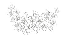Black Silhouette Of A Garland Of Sakura Flowers. Vector Illustration On White Background.