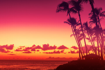 Wall Mural - Silhouette of palm trees on sunset sky background