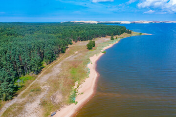 Wall Mural - Coastline of Curonian spit in Lithuania