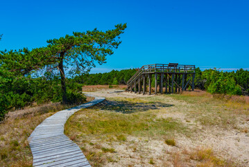 Wall Mural - Lookout over Curonian spit peninsula in Lithuania