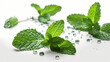 fresh mint leaves with water