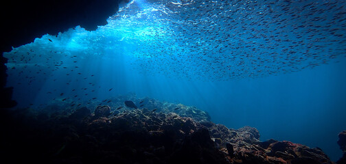 Wall Mural - Artistic underwater photography of rays of sunlight and school of fish over a coral reef
