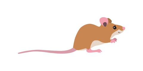 Wall Mural - Animal illustration. Sitting mouse drawn in a flat style. Isolated objects on a white background. Vector 10 EPS
