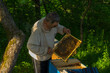 nice outdoor portrait of Ukrainian peasant taking frame full of bees while hard working in own bee yard