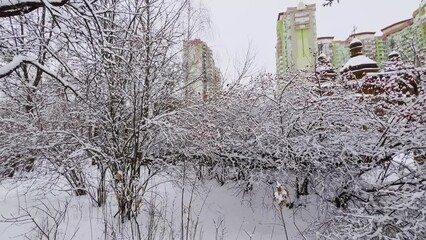 Poster - Snowy moat and lush bushes in Mamajeva Sloboda Cossack Village, Kyiv, Ukraine