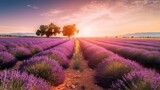 Fototapeta  - Stunning landscape with lavender field with stunning sunset on background. Generative AI
