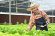 © Prathankarnpap - Farmer with digital tablet checking sustainable farming growth or progress in greenhouse. Business agriculture and technology concept