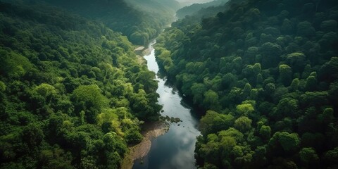 Canvas Print - View from the height of the river among the green forest.Aerial view. Panoramic shot. Generative AI