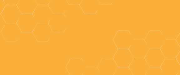 Wall Mural - abstract geometric hexagon white and gray color background. computer digital drawing, background wit