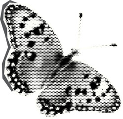 Retro halftone collage butterfly  for mixed media design. Insect in halftone texture, dotted pop art style. Vector illustration of vintage grunge punk crazy art templates.