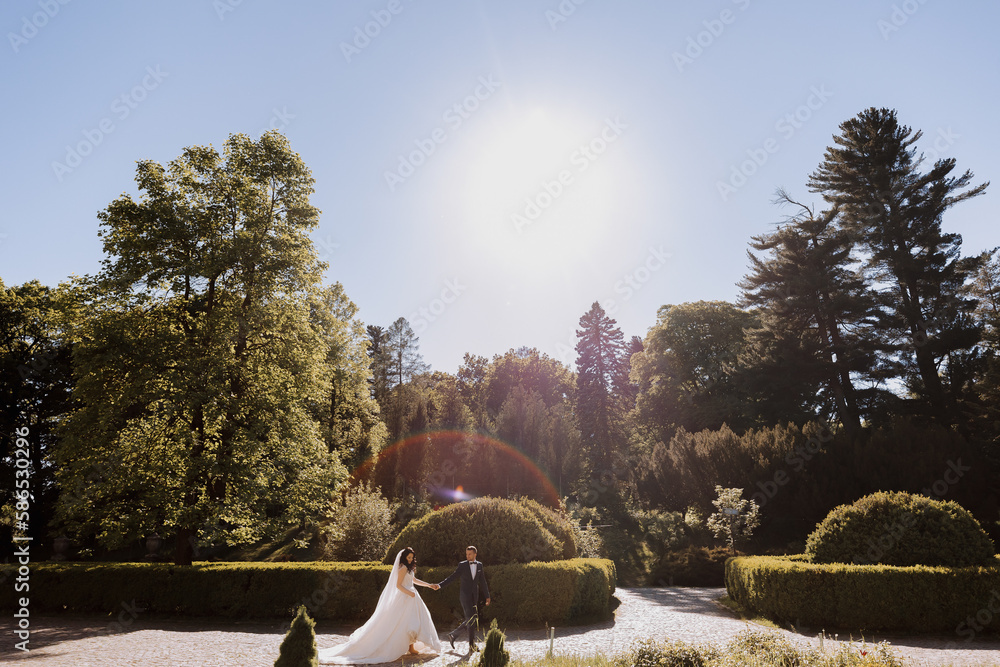 Bride and groom at sunset in green nature. Wedding couple in park. The ...