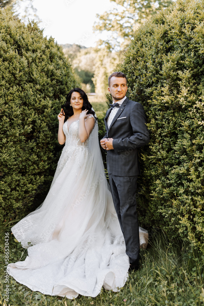 Bride and groom at sunset in green nature. Wedding couple in park. The ...