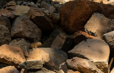 Wall Mural - Pika Pops Out From the Shadows of Volcanic Rock In Crater Lake