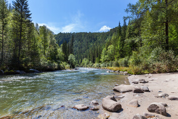 Mountain river with sandy beach, clear blue water and green forest along banks on sunny day. Scenic summer landscape. Natural background. Ukhgun river, Nilovka, Tunka foothill valley, Buryatia