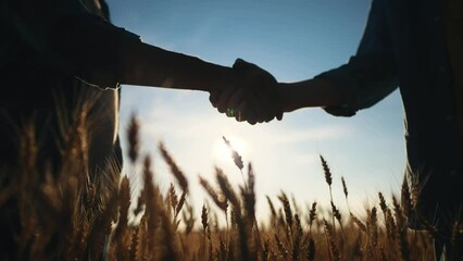 Sticker - handshake farmer wheat. business partnership agriculture concept. silhouette two farmers shaking hands conclude a contract agreement sun in a field of wheat glare. agriculture handshake concept