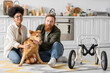 © LIGHTFIELD STUDIOS - Multiethnic couple looking at camera near handicapped dog on floor in kitchen.
