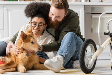 Smiling man looking at disabled dog near african american girlfriend at home.