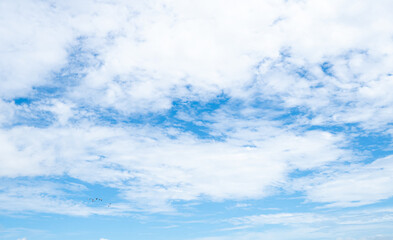 Wall Mural - beautiful blue sky and white clouds abstract background. cloudscape background. blue sky and fluffy 
