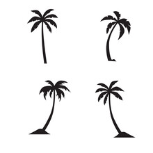 Palm Tree Icon Vector Illustration Template Design