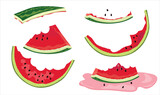 Fototapeta  - Set of half eaten watermelon slices vector illustration. Watermelon rind. Leftovers of watermelon slices. Organic garbage which is decomposable. Cartoon styled vector isolated on white background.